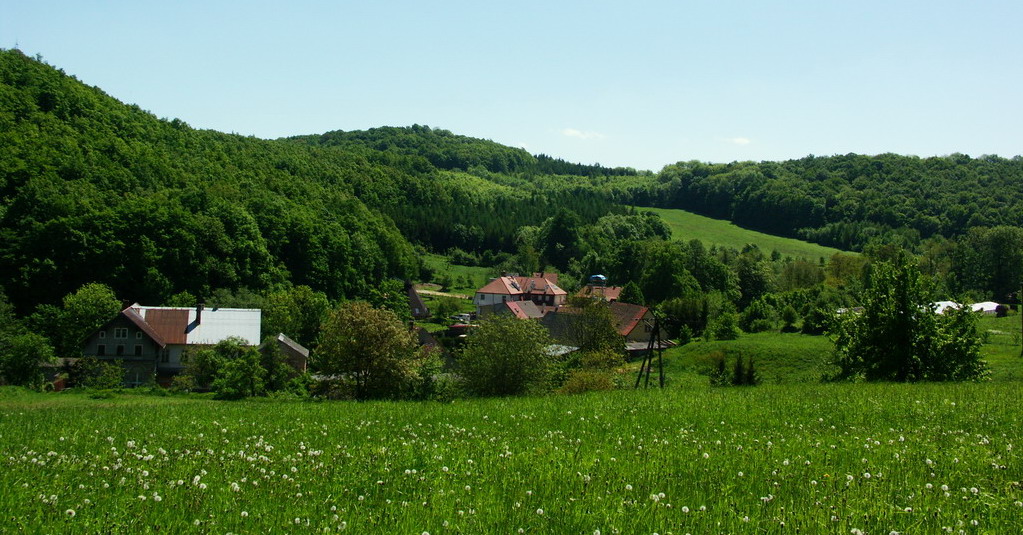 blog-image